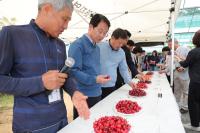 [NSP PHOTO]강진군체리연구회, 미래 최고 유망 작물 체리 육성 박차