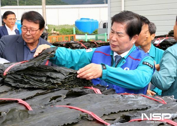 NSP통신-공영민 고흥군수를 비롯한 고흥군수협 이홍재 조합장과 어업인 100여 명에 참석한 가운데 명품 건다시마 위판장 열고 본격 위판 시작했다 (사진 = 고흥군)