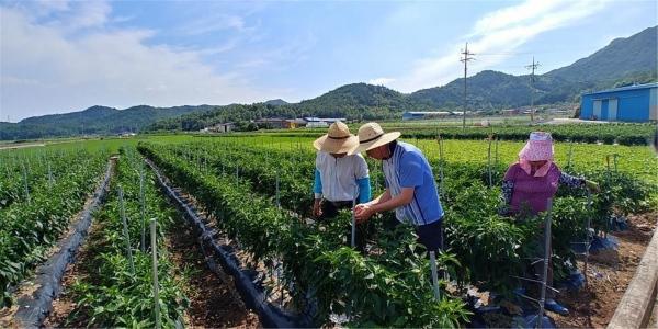 NSP통신- (사진 = 장흥군)