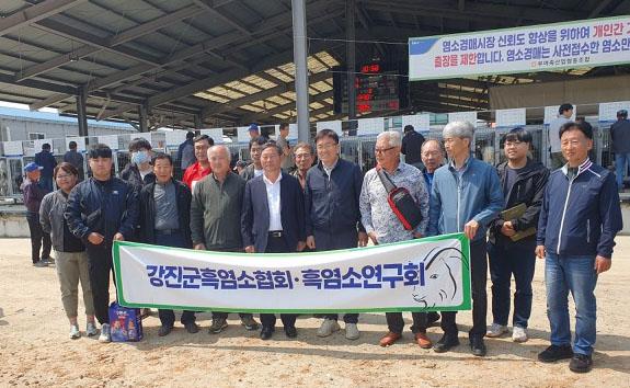 NSP통신- (사진 = 강진군)