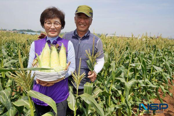 NSP통신- (사진 = 해남군)