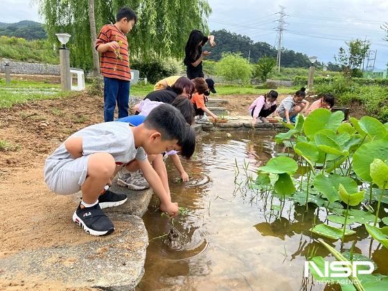 NSP통신-전북특별자치도교육청이 이달 24일까지 2024학년도 2학기 전북 농촌유학생을 모집한다. (사진 = 전북특별자치도교육청)