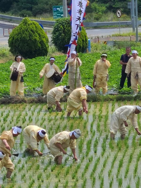 [NSP PHOTO]안동저전동농요보존회, 함안농요보존회와 교류공연 열어