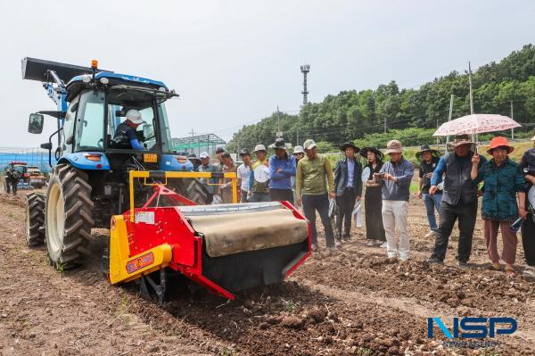 [NSP PHOTO]의성군, 의성마늘 기계화 우수모델 수확 연시회 개최
