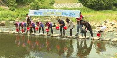 [NSP PHOTO]장수군 천천면 일대 하천에 치어 9만 미 방류