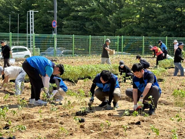 NSP통신-26일 용인시 수지구 내 유휴 국유지에서 실시한 친환경 식물 심기 행사 모습. (사진 = 용인도시공사)