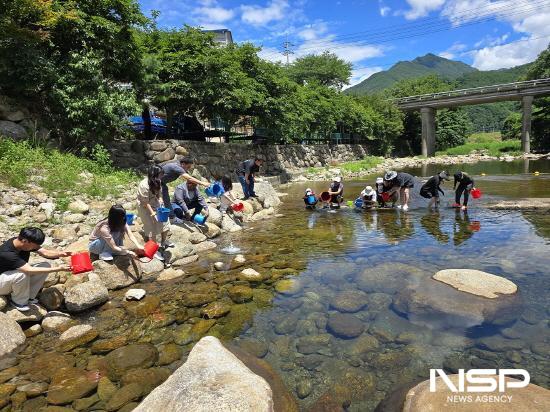 NSP통신-메기 방류 (사진 = 광양시청)