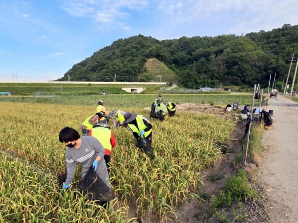 NSP통신-안동시 공공형 외국인 계절근로사업, 지역 농가에 큰 힘, 2개 농협에 90명 배치, 농번기 인력수요에 탄력적 대응 (사진 = 안동시)