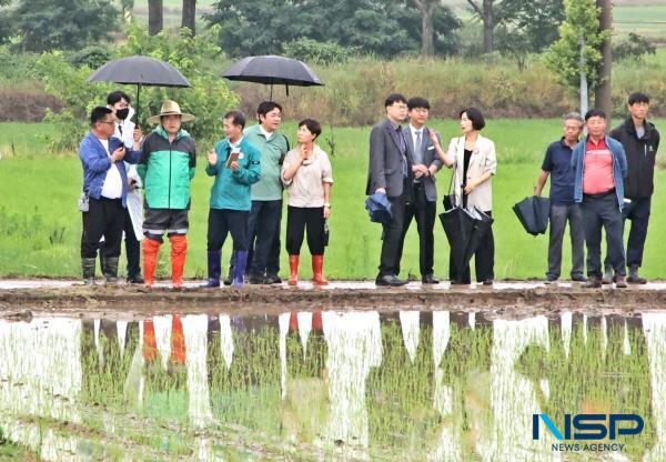 NSP통신-주낙영 경주시장이 2일 농업인 격려를 위해 지역 모내기 현장을 방문했다. (사진 = 경주시)