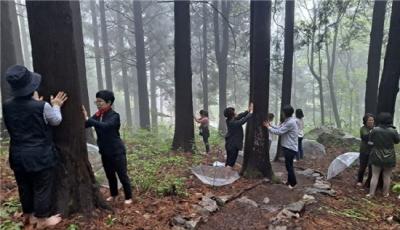 [NSP PHOTO]광양시백운산자연휴양림, 전라남도 7월의 추천관광지 선정