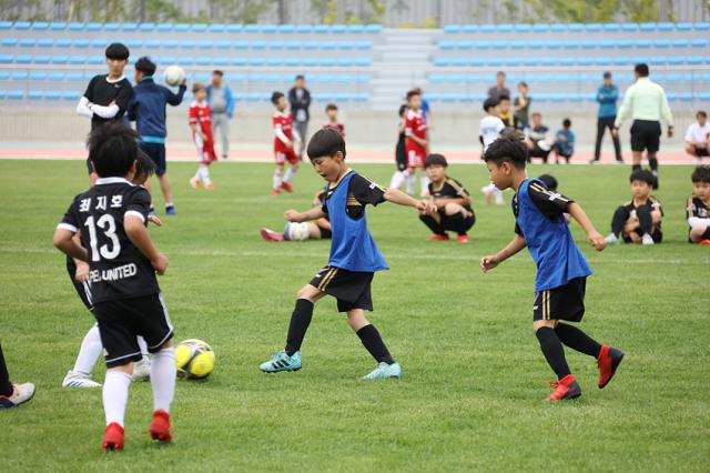 NSP통신-제1회 양양컵 리틀k리그 전국유소년축구대회 모습. (사진 = 양양군)