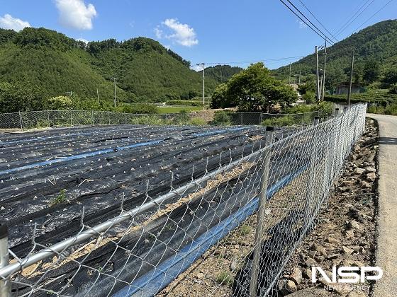 NSP통신-진안군이 멧돼지·고라니 등 유해야생동물로 인한 농작물의 피해를 입은 관내 농가를 대상으로 유해야생동물 피해보상을 추진한다. (사진 = 진안군)