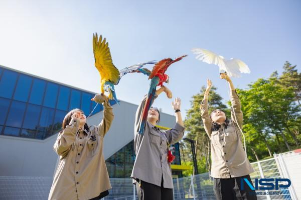 NSP통신-대경대학교가 오는 20일 동물사육복지과 를 시작으로 대규모 진로 체험 캠프를 개최한다. 동물사육복지과 자료 사진 (사진 = 대경대학교)