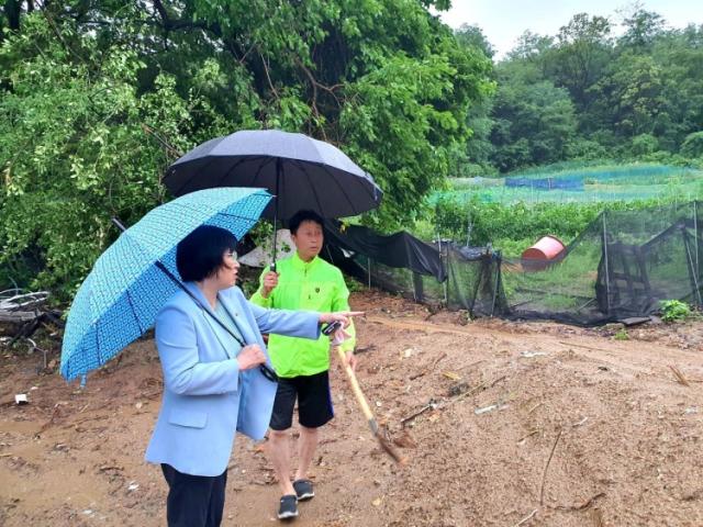 NSP통신-김현 국회의원이 호우 경보가 발효된 즉시 안산시 취약지역을 직접 찾아 현장을 점검하고 있다. (사진 = 김현 의원실)