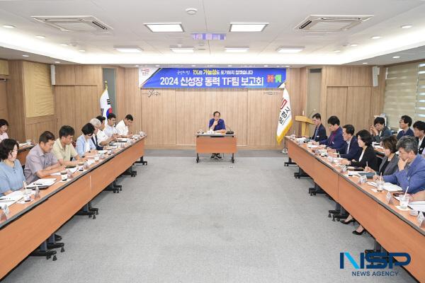 NSP통신-문경시는 지난 17일 시청 제2회의실에서 신성장 동력 TF팀 추진전략 보고회를 개최했다. (사진 = 문경시)