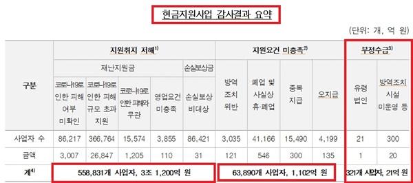 NSP통신- (표 = 감사원)