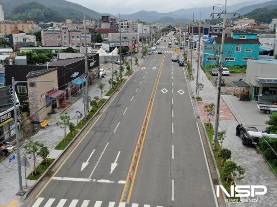 NSP통신-광양읍 매천로(광양여고사거리~칠성초사거리) 구간 도로변 가로수 교체 (사진 = 광양시청)