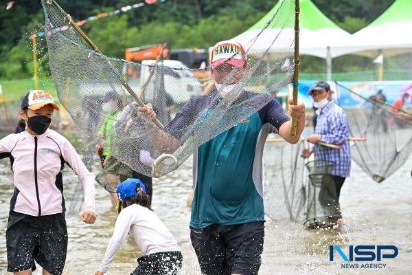 [NSP PHOTO]영덕군, 2024년 영덕 황금은어 축제 개최