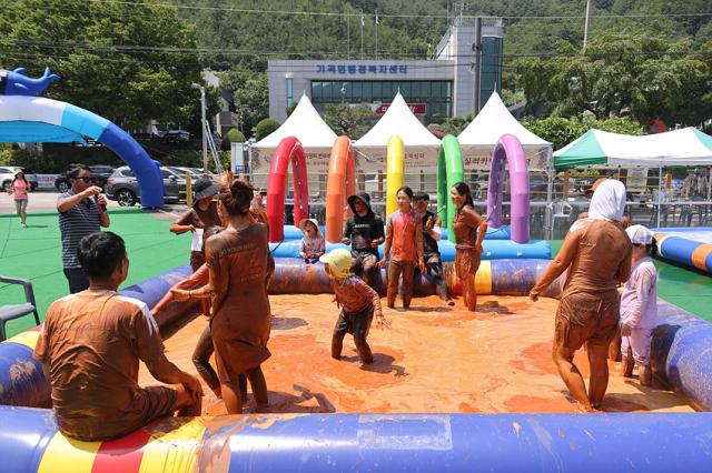 NSP통신-삼척시 가곡 유황실리카 온천 머드축제 모습. (사진 = 삼척시)