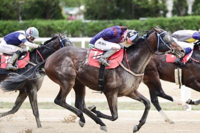 [NSP PHOTO]한국마사회 제39회 KRA컵 클래식 대상경주 명마들 격돌