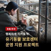 [NSP PHOTO]곡성군, 열약한 유기동물 보호 여건 개선 지정 기부 모금 전개