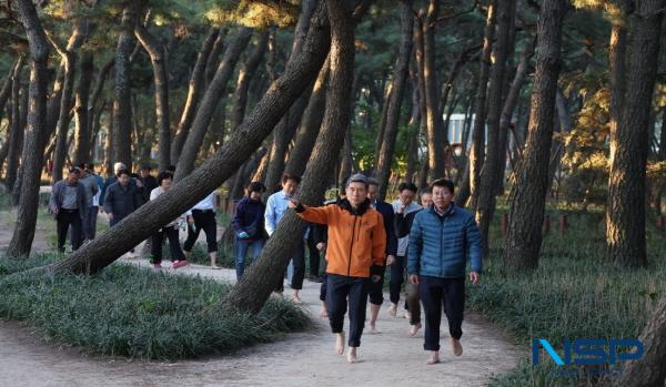 NSP통신-포항시는 지역 대표 도시숲인 송도 솔밭 도시숲과 포항 철길숲이 산림청 주관 아름다운 도시숲 50선 에 선정됐다고 밝혔다. (사진 = 포항시)