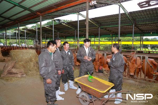NSP통신-김철우 보성군수가 폭염 피해 예방을 위해 축산농가를 방문하여 현장을 점검했다. (사진 = 보성군)