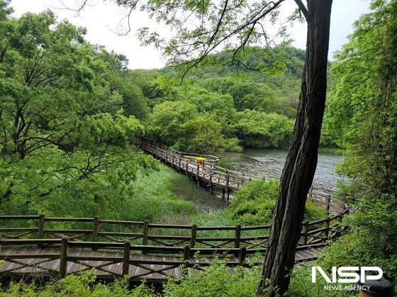 NSP통신-군산 월명공원 동수림분 데크길 전경 (사진 = 군산시)