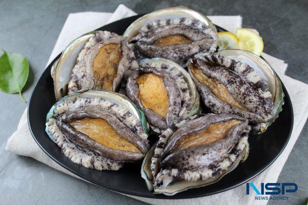 NSP통신-완도전복 (사진 = 완도군)