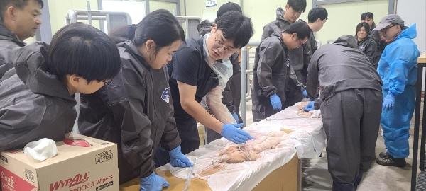 NSP통신-경상북도축산기술연구소는 지난 8일부터 9일까지 경북도립대학교 축산학과 학생들을 대상으로 가축인공수정사 자격증 대비 이론과 실습 교육을 진행했다. (사진 = 경상북도)