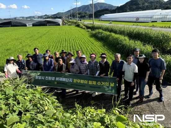 NSP통신-왕우렁이 일제 수거 기간 운영 (사진 = 광양시청)