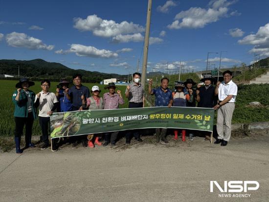 NSP통신-왕우렁이 일제 수거 기간 운영 (사진 = 광양시청)