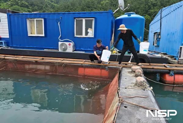NSP통신-여수시가 양식수산물 피해 발생 시 재난복구비를 지원받을 수 있도록 양식어가의 입식·출하 신고를 당부했다. (사진 = 여수시)