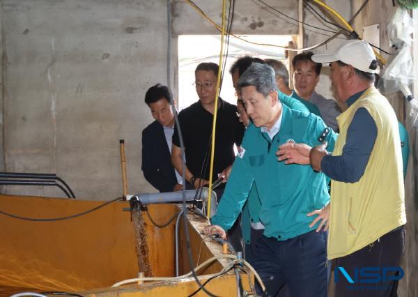 [NSP PHOTO]이강덕 포항시장, 고수온 피해 발생 양식장 찾아 현장점검 실시 및 애로사항 청취