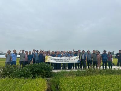 [NSP PHOTO]강릉시농업기술센터, 벼 품종 비교전시포 현장평가회 개최