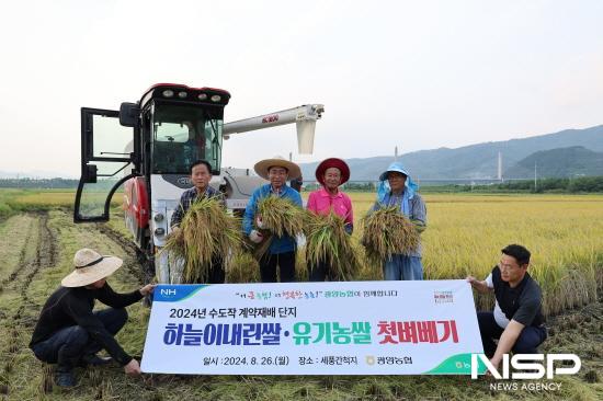 NSP통신-수도작 계약재배단지 첫 벼베기 (사진 = 광양농협)