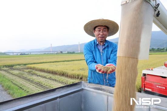 NSP통신-허순구 조합장 수확한 벼 살피고 있다 (사진 = 광양농협)