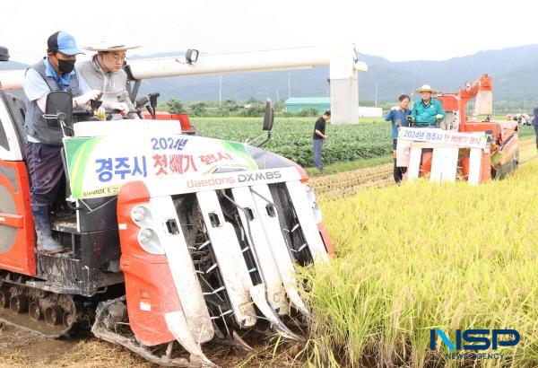 [NSP PHOTO]주낙영 경주시장, 첫 벼베기 행사 참여...수확의 기쁨 나눠