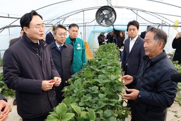 NSP통신-윤병태 나주시장(사진 왼쪽 맨앞)이 일조량 부족에 따른 농작물 피해 농가를 찾아 피해상황을 점검하고 있다. (사진 = 나주시)