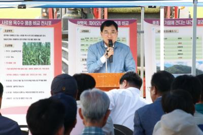 [NSP PHOTO]경주시, 사료용 옥수수 품종별 평가 및 기계화 수확 시연회 개최