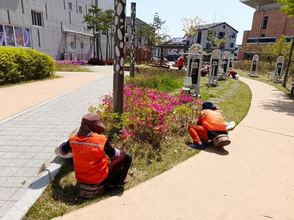 NSP통신-안동시는 다가오는 추석 연휴에 대비해 도시공원 및 가로변 녹지공간 환경정비를 대대적으로 추진한다. (사진 = 안동시)