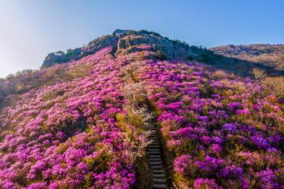 [NSP PHOTO]여수 영취산·흥국사 일원, 자연유산(명승) 지정 예고