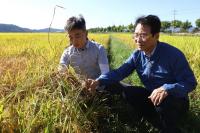 [NSP PHOTO]강진군, 벼멸구 적기방제 영농기술지원 총력