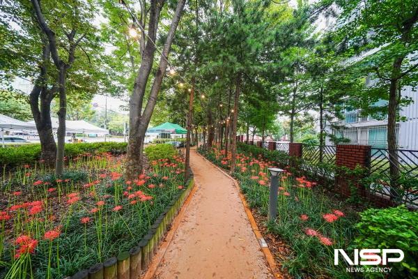 NSP통신-상사화가 붉게 물든 왕조2동 지봉로 일원 (사진 = 순천시 왕조2동)