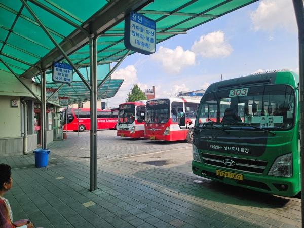 NSP통신- (사진 = 담양군)