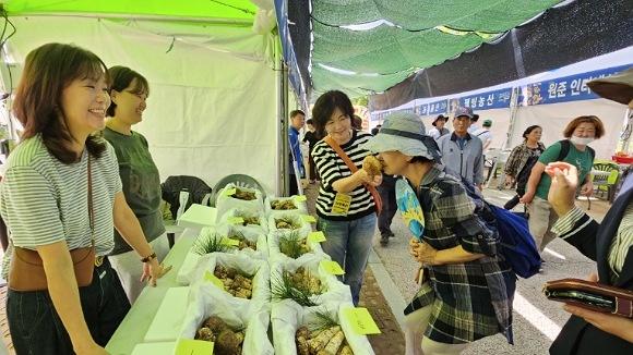 NSP통신-송이향에 반하고, 한약우 맛에 빠지다, 자연과 문화의 조화로 빚어낸 가을 축제 봉화송이축제 10월 3일부터 열려 (사진 = 봉화군)