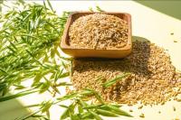 [NSP PHOTO]강진군, 쌀귀리 가공식품으로 맛과 건강 일석이조 효과 톡톡