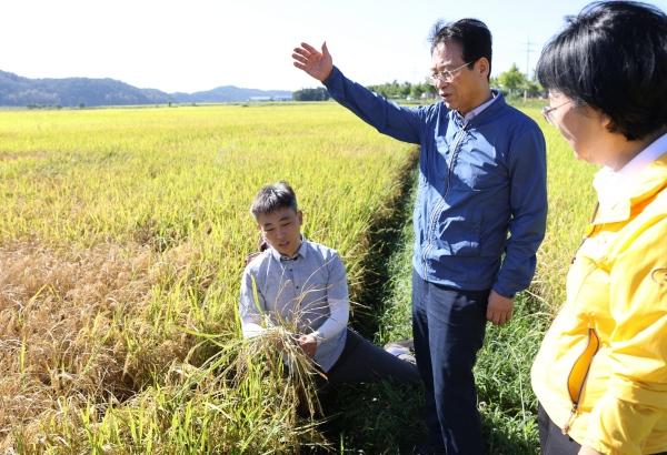 NSP통신-강진원 강진군수가 지난 추석 연휴 직후 벼논을 찾아 벼멸구 피해 상황을 점검하고 있다. (사진 = 강진군)