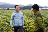 [NSP PHOTO]강진군,  벼 대체 고소득 작물로 논콩 지원 강화