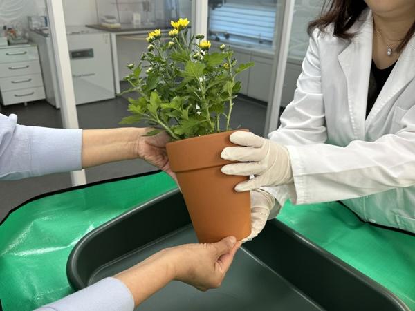 NSP통신-식물병원에서 반려식물을 진단하고 있다 (사진 = 고양시)